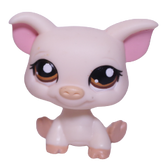 #1693 Pig